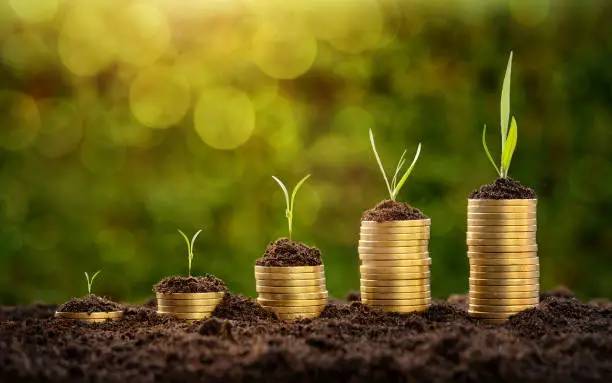 Understanding Financial Stability: What It Means and How to Achieve It